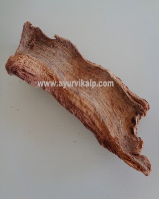 VADSAL, Baniyan Tree Bark, Ficus Bengalensis, Raw Whole Herbs of India